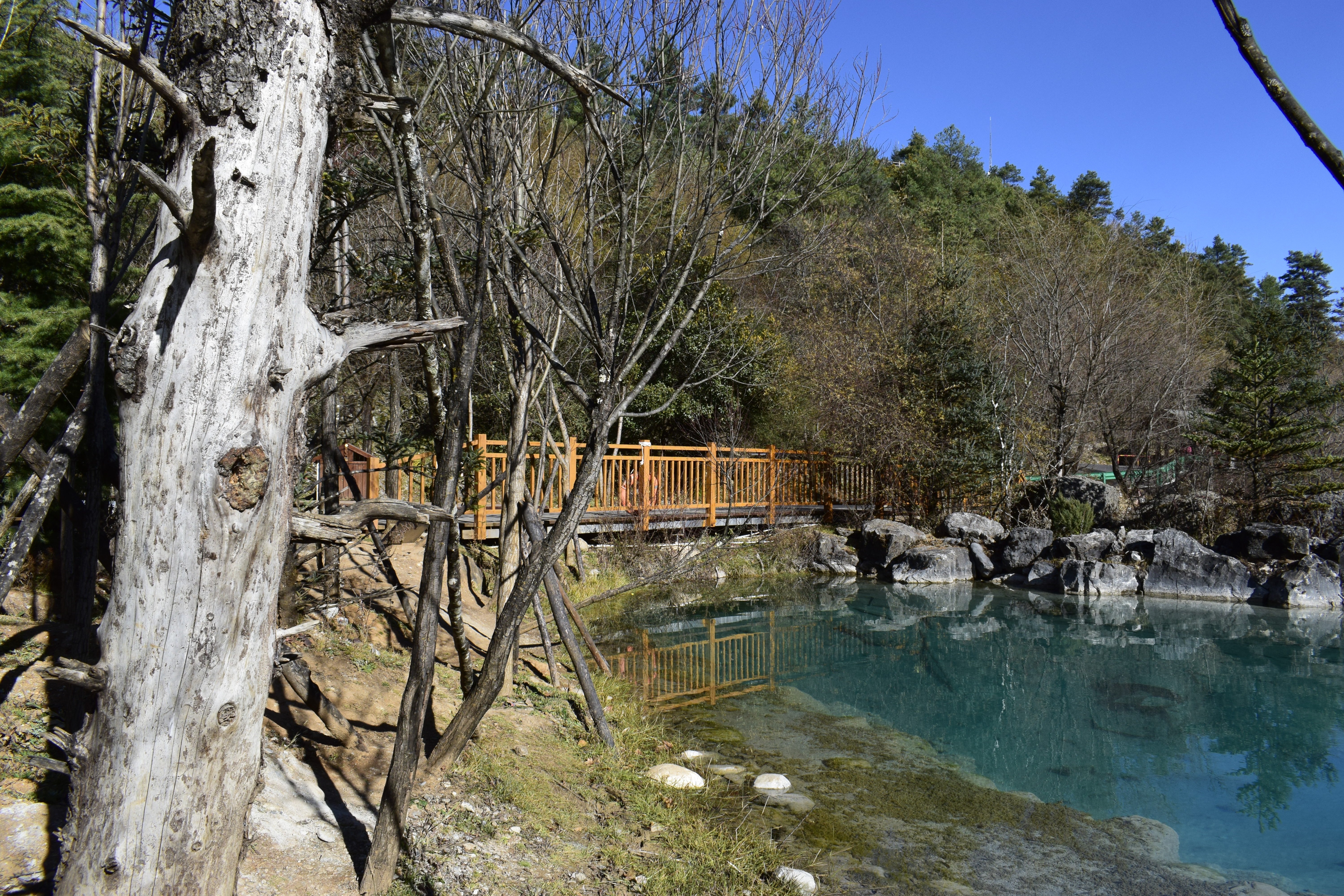 生如夏花10的個人主頁（封面預(yù)覽） - 主頁封面設(shè)置 - 站酷設(shè)計師生如夏花10原創(chuàng)素材 - 站酷ZCOOL