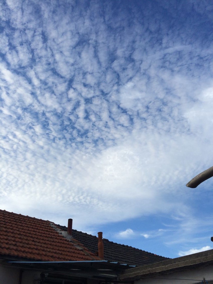 Ruo_星竹的个人主页（封面预览） - 主页封面设置 - 站酷设计师Ruo_星竹原创素材 - 站酷ZCOOL