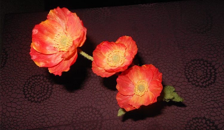 YANG三木的个人主页（封面预览） - 主页封面设置 - 站酷设计师YANG三木原创素材 - 站酷ZCOOL