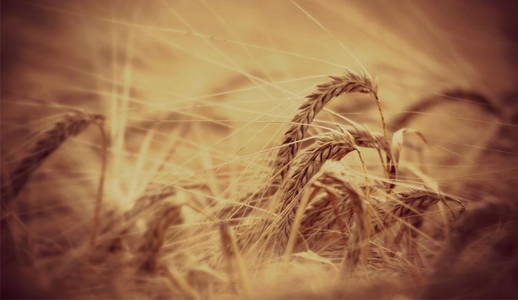 理性樂(lè)觀派的個(gè)人主頁(yè)（封面預(yù)覽） - 主頁(yè)封面設(shè)置 - 站酷設(shè)計(jì)師理性樂(lè)觀派原創(chuàng)素材 - 站酷ZCOOL