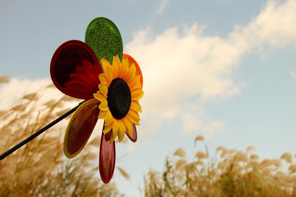 YOYO_Lee1的个人主页（封面预览） - 主页封面设置 - 站酷设计师YOYO_Lee1原创素材 - 站酷ZCOOL