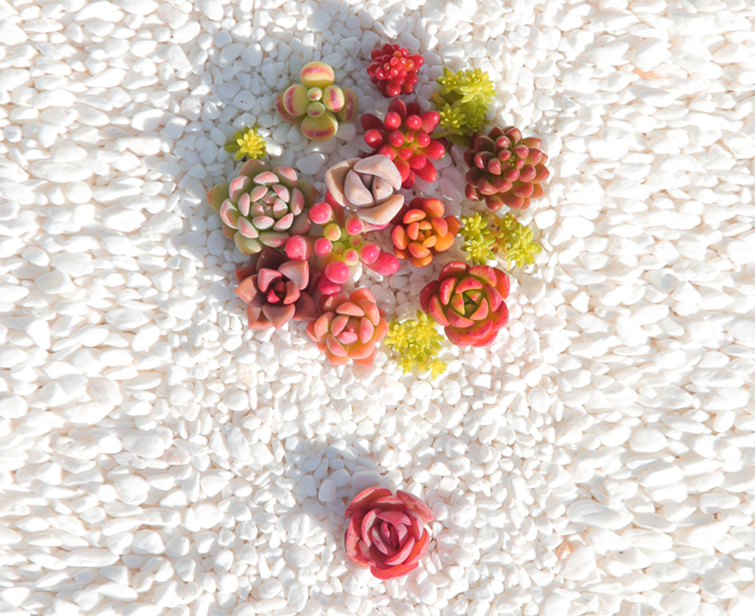 saturejewel的個(gè)人主頁(yè)（封面預(yù)覽） - 主頁(yè)封面設(shè)置 - 站酷設(shè)計(jì)師saturejewel原創(chuàng)素材 - 站酷ZCOOL