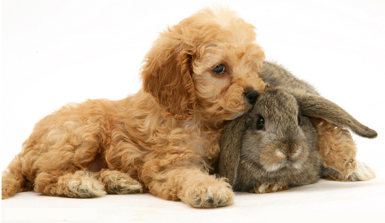 xjs890125的个人主页（封面预览） - 主页封面设置 - 站酷设计师xjs890125原创素材 - 站酷ZCOOL