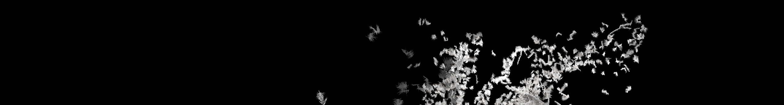 黑色羽毛的個(gè)人主頁(yè)（封面預(yù)覽） - 主頁(yè)封面設(shè)置 - 站酷設(shè)計(jì)師黑色羽毛原創(chuàng)素材 - 站酷ZCOOL