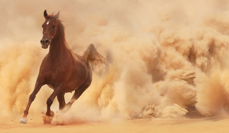 OLAYA工作室的个人主页（封面预览） - 主页封面设置 - 站酷设计师OLAYA工作室原创素材 - 站酷ZCOOL