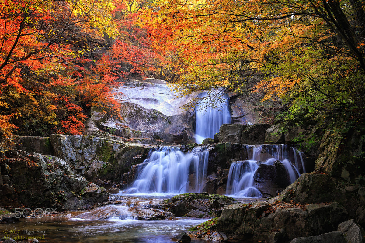 gp90的个人主页（封面预览） - 主页封面设置 - 站酷设计师gp90原创素材 - 站酷ZCOOL