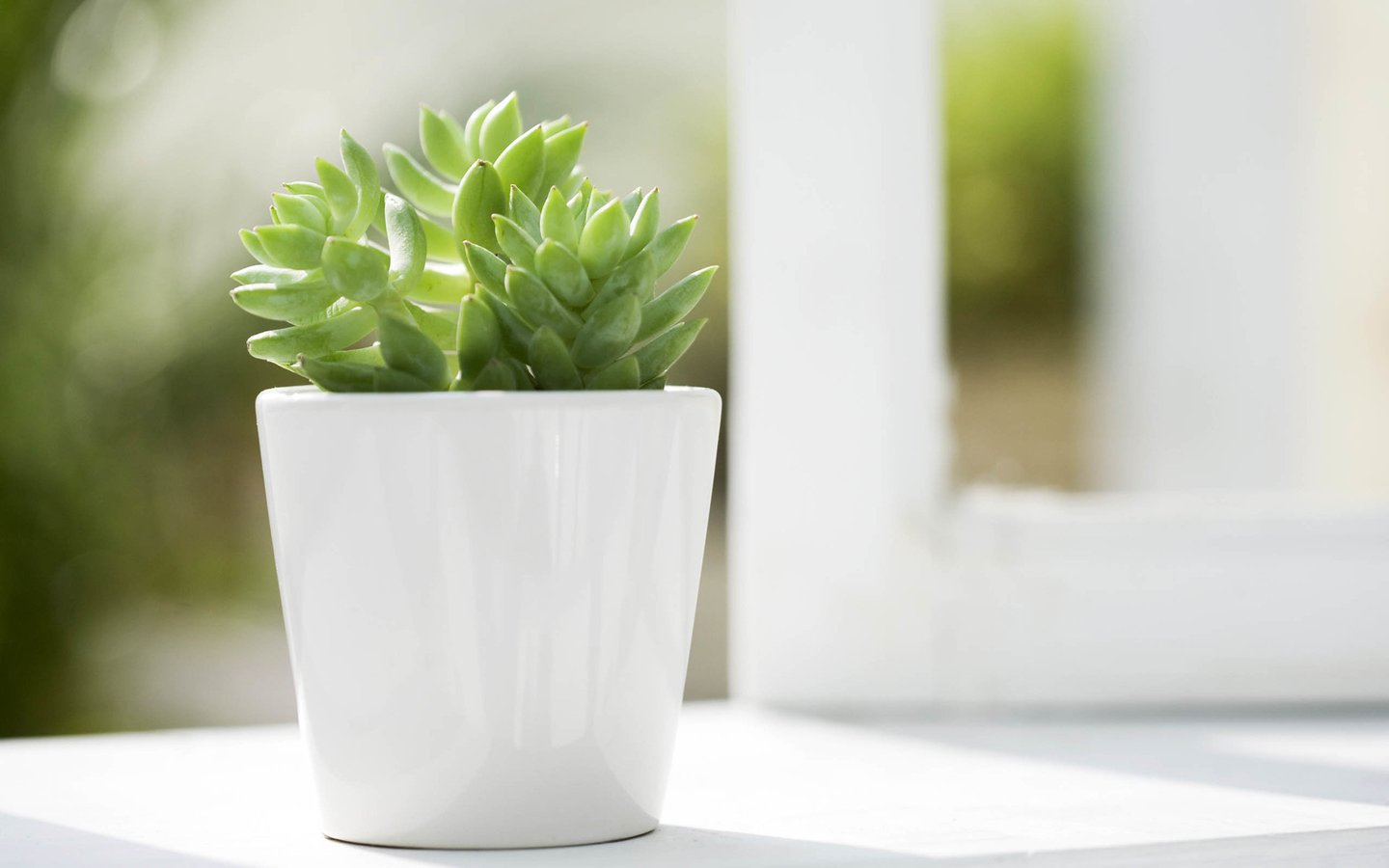 XIALAIZI的個人主頁（封面預覽） - 主頁封面設置 - 站酷設計師XIALAIZI原創(chuàng)素材 - 站酷ZCOOL