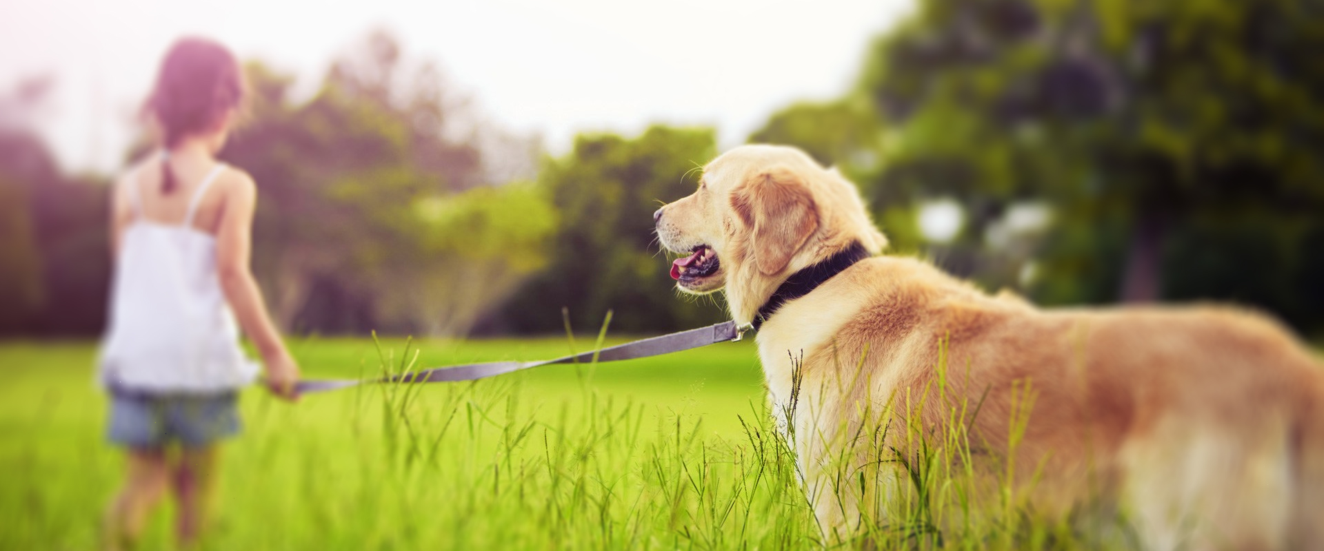 wq8659175的个人主页（封面预览） - 主页封面设置 - 站酷设计师wq8659175原创素材 - 站酷ZCOOL