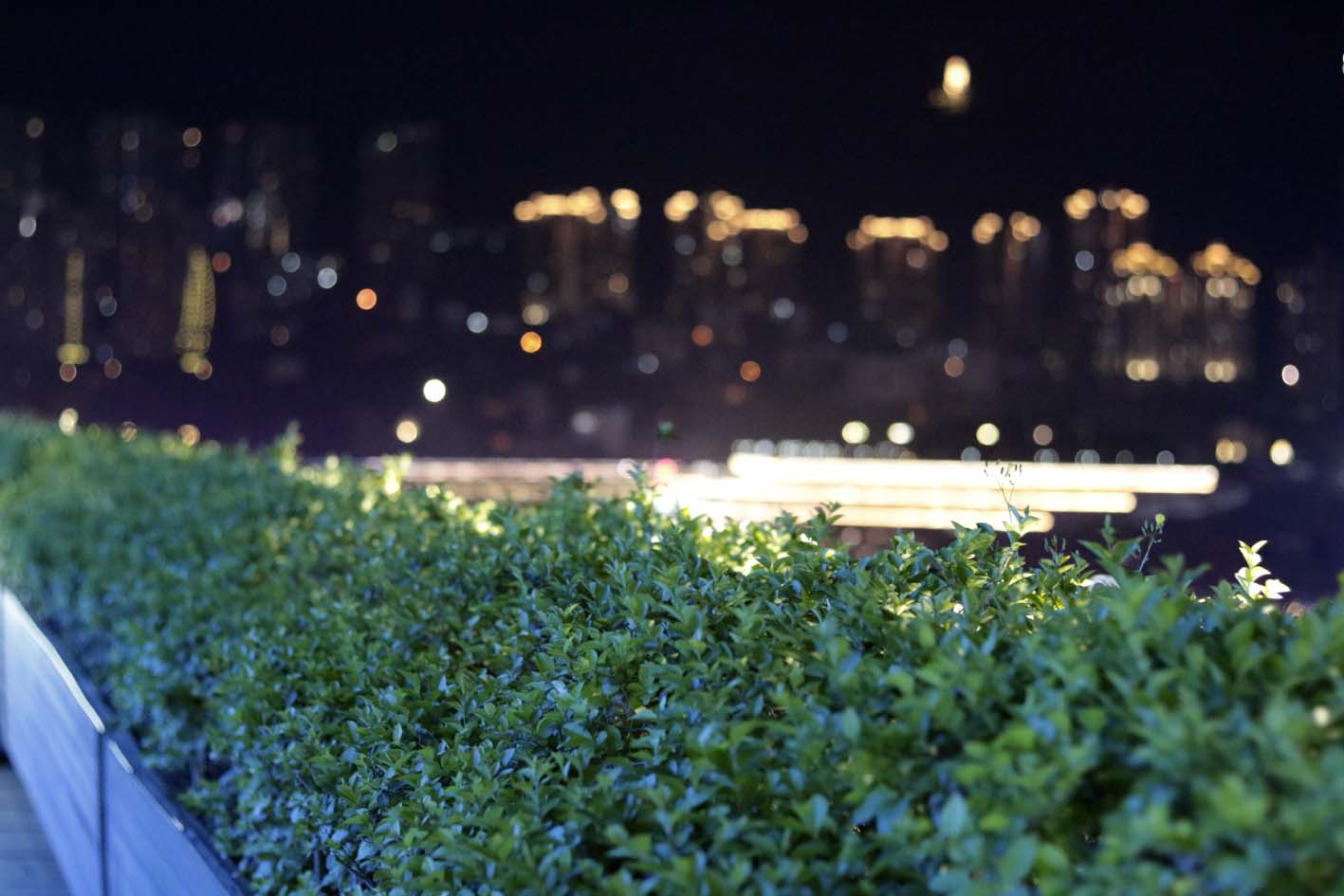 tomato_dodo的個人主頁（封面預(yù)覽） - 主頁封面設(shè)置 - 站酷設(shè)計師tomato_dodo原創(chuàng)素材 - 站酷ZCOOL