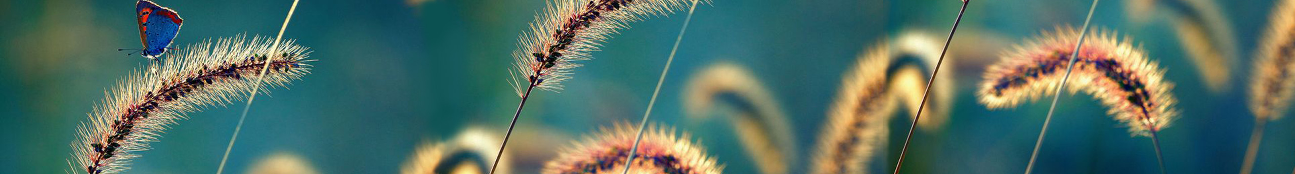 zhangnann的个人主页（封面预览） - 主页封面设置 - 站酷设计师zhangnann原创素材 - 站酷ZCOOL