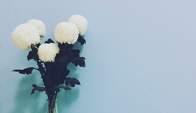 Amberr顾北源的个人主页（封面预览） - 主页封面设置 - 站酷设计师Amberr顾北源原创素材 - 站酷ZCOOL