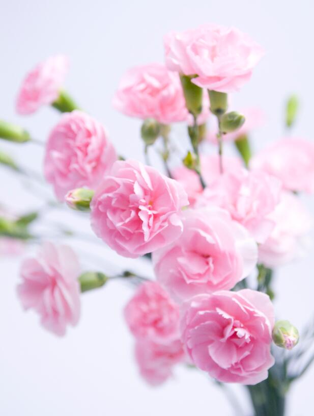 sammillwu的个人主页（封面预览） - 主页封面设置 - 站酷设计师sammillwu原创素材 - 站酷ZCOOL