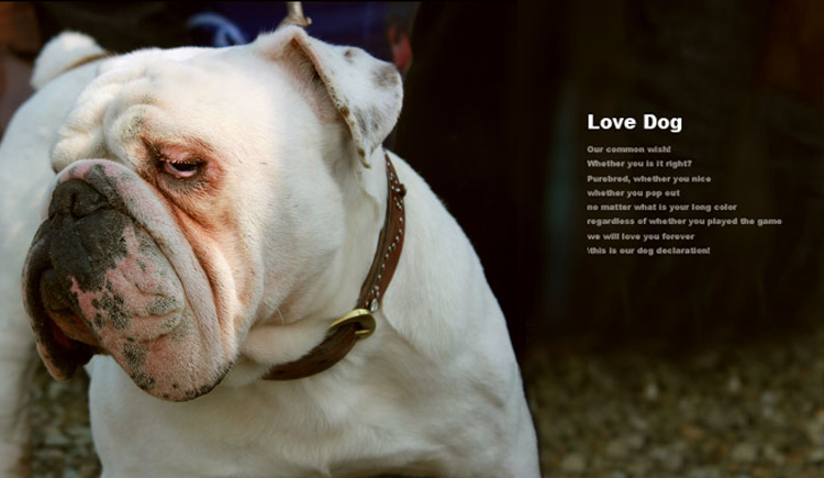 jiuyao74ni的個人主頁（封面預覽） - 主頁封面設(shè)置 - 站酷設(shè)計師jiuyao74ni原創(chuàng)素材 - 站酷ZCOOL