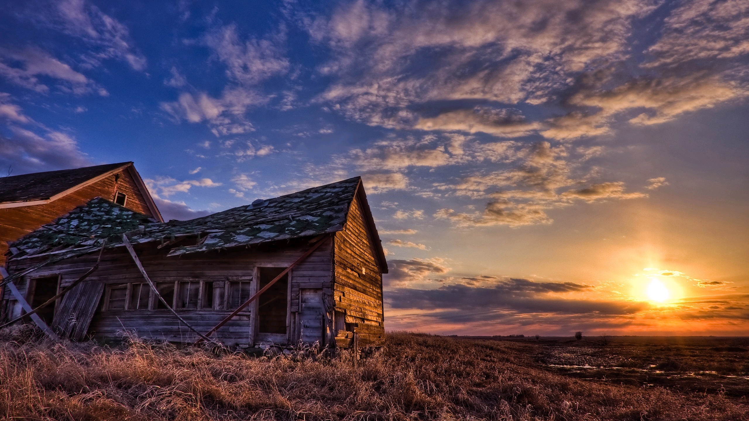 春作的个人主页（封面预览） - 主页封面设置 - 站酷设计师春作原创素材 - 站酷ZCOOL