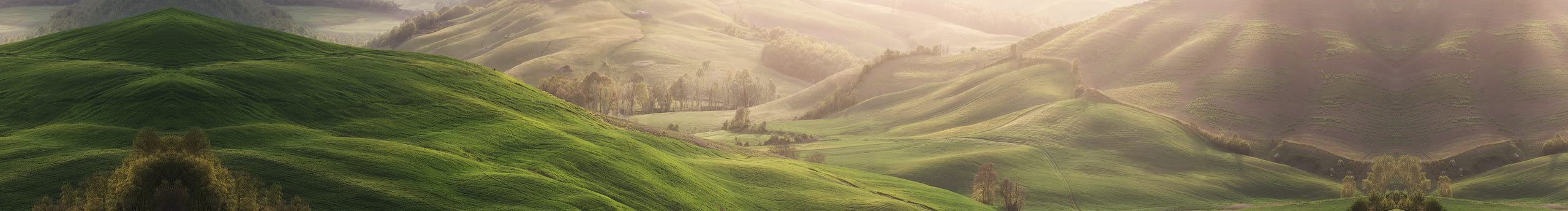 泰妍哦的个人主页（封面预览） - 主页封面设置 - 站酷设计师泰妍哦原创素材 - 站酷ZCOOL