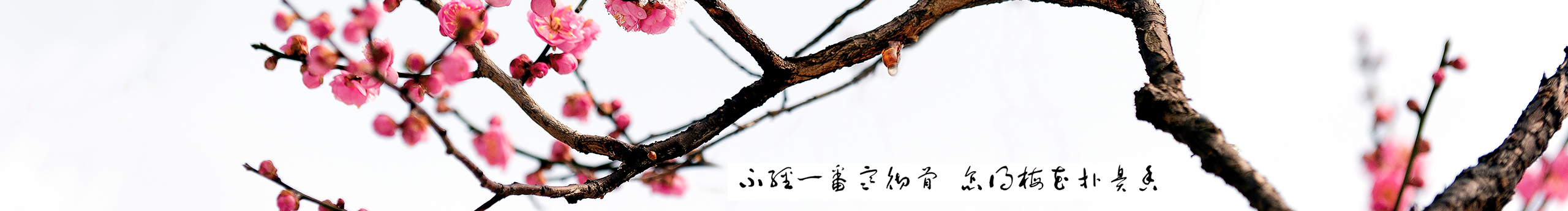 花艺匠人的个人主页（封面预览） - 主页封面设置 - 站酷设计师花艺匠人原创素材 - 站酷ZCOOL