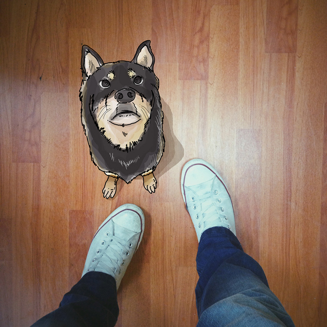 带芒果千层的个人主页（封面预览） - 主页封面设置 - 站酷设计师带芒果千层原创素材 - 站酷ZCOOL