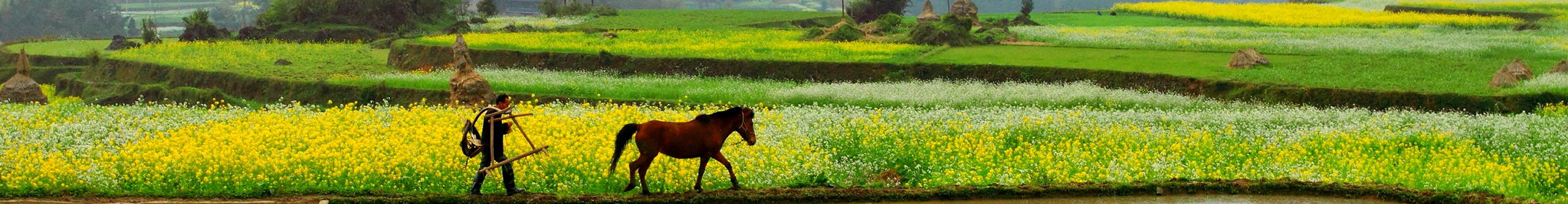 Pengchegs的个人主页（封面预览） - 主页封面设置 - 站酷设计师Pengchegs原创素材 - 站酷ZCOOL