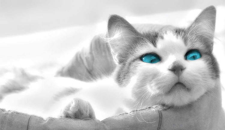 _好久不见的个人主页（封面预览） - 主页封面设置 - 站酷设计师_好久不见原创素材 - 站酷ZCOOL