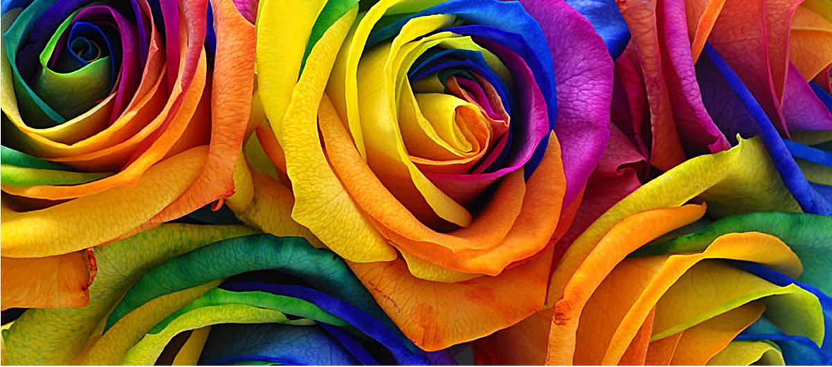 罗美美的个人主页（封面预览） - 主页封面设置 - 站酷设计师罗美美原创素材 - 站酷ZCOOL