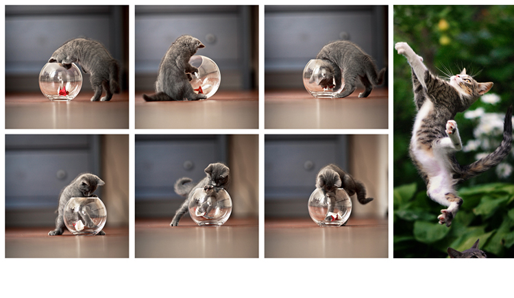 如詩(shī)的個(gè)人主頁(yè)（封面預(yù)覽） - 主頁(yè)封面設(shè)置 - 站酷設(shè)計(jì)師如詩(shī)原創(chuàng)素材 - 站酷ZCOOL