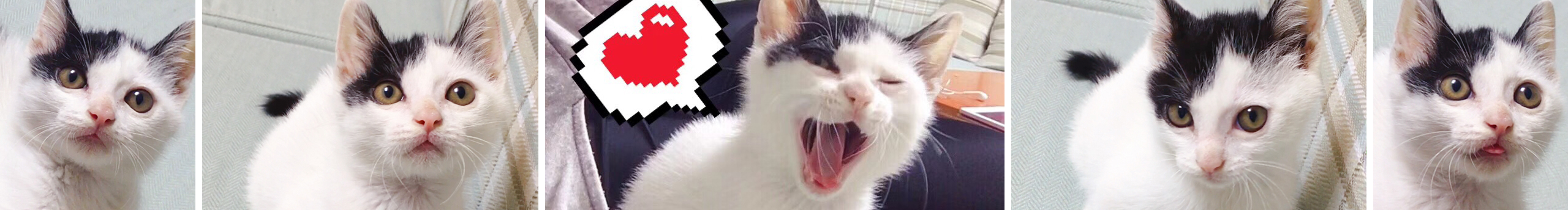 宣彤在画画的个人主页（封面预览） - 主页封面设置 - 站酷设计师宣彤在画画原创素材 - 站酷ZCOOL