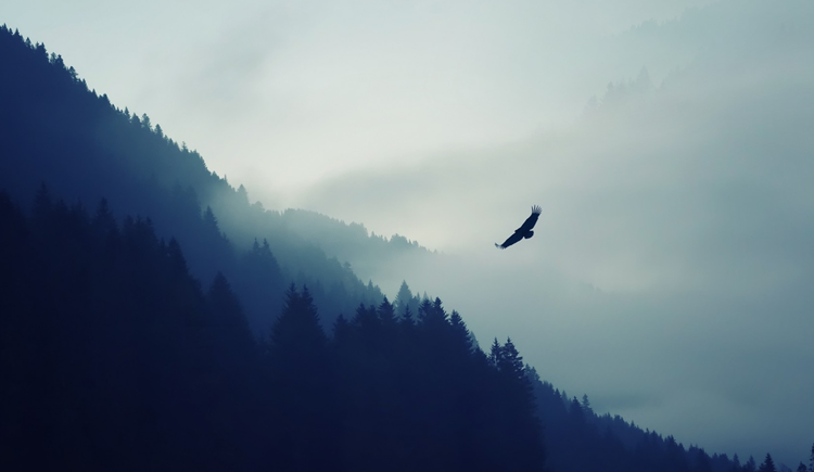 匠心制造的个人主页（封面预览） - 主页封面设置 - 站酷设计师匠心制造原创素材 - 站酷ZCOOL