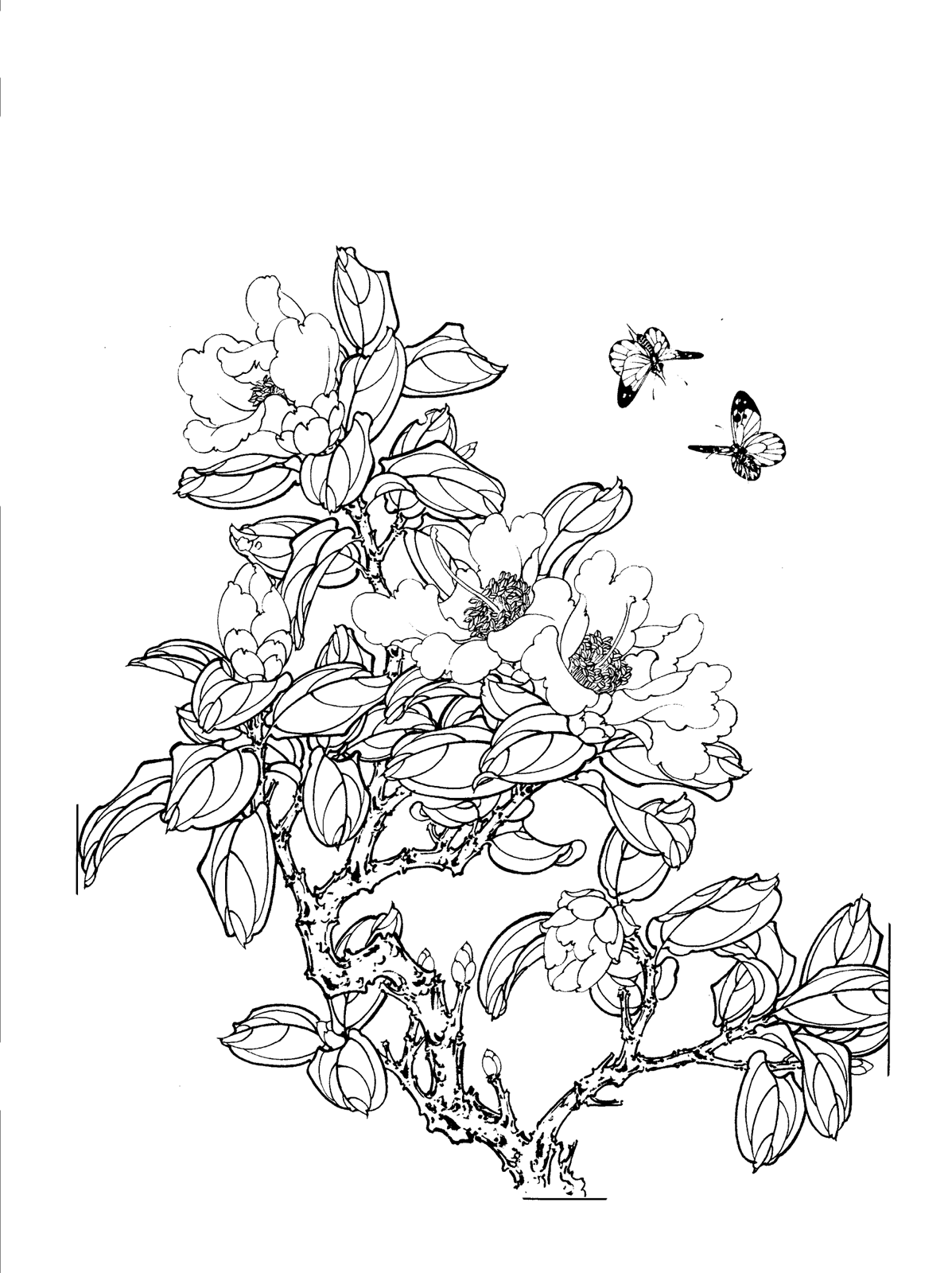 suixinzhu的个人主页（封面预览） - 主页封面设置 - 站酷设计师suixinzhu原创素材 - 站酷ZCOOL