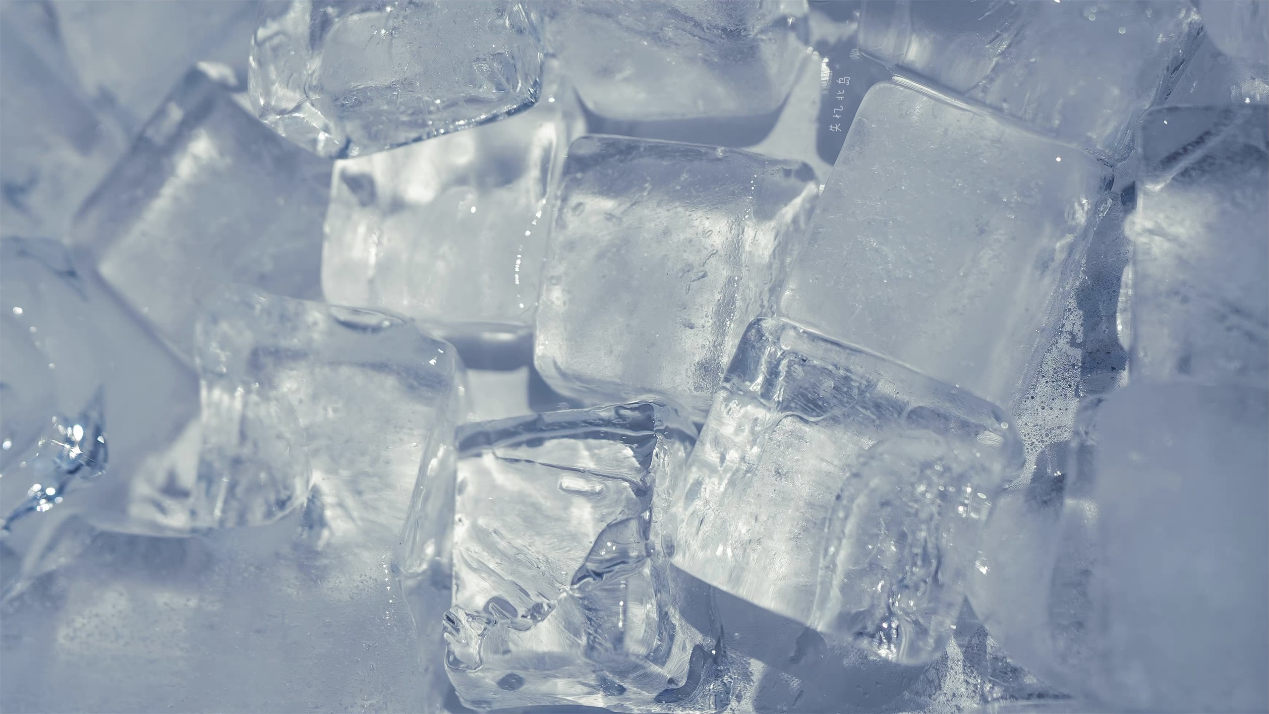 哆哆嗦嗦吃口肉的个人主页（封面预览） - 主页封面设置 - 站酷设计师哆哆嗦嗦吃口肉原创素材 - 站酷ZCOOL