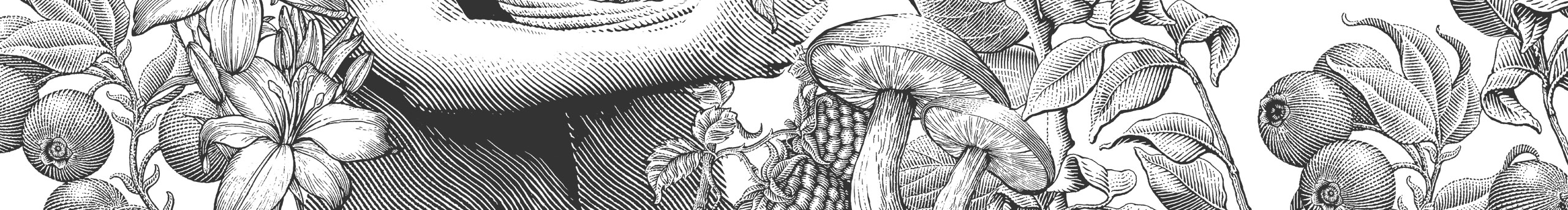 前形品牌设计的个人主页（封面预览） - 主页封面设置 - 站酷设计师前形品牌设计原创素材 - 站酷ZCOOL