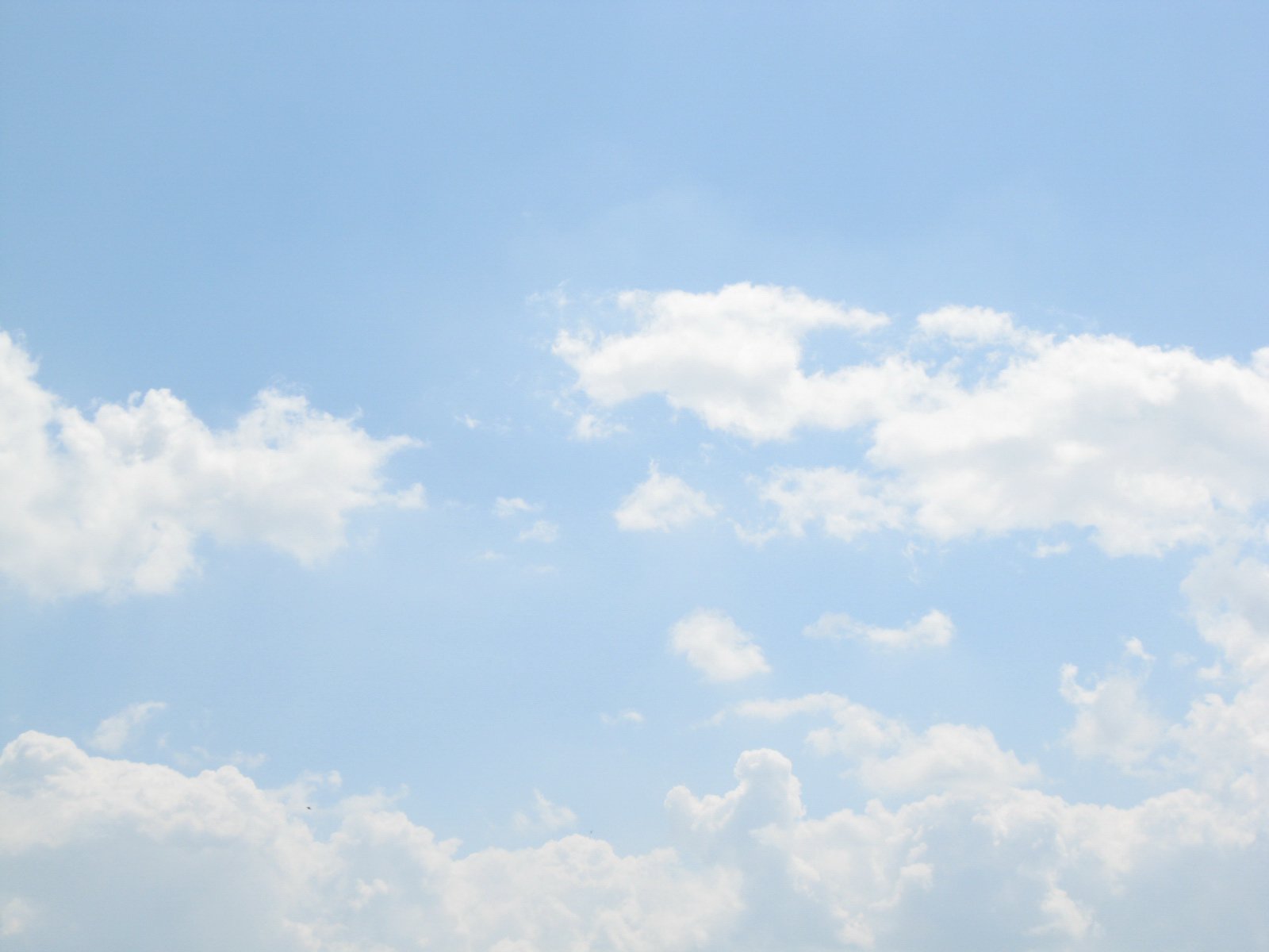 Asami.Mei的个人主页（封面预览） - 主页封面设置 - 站酷设计师Asami.Mei原创素材 - 站酷ZCOOL