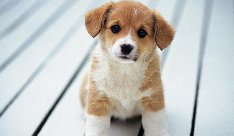 方美棋的个人主页（封面预览） - 主页封面设置 - 站酷设计师方美棋原创素材 - 站酷ZCOOL