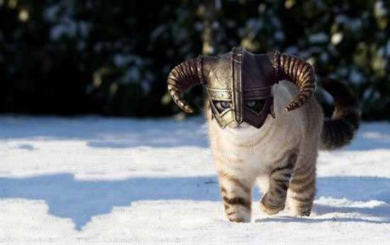 UCY720的个人主页（封面预览） - 主页封面设置 - 站酷设计师UCY720原创素材 - 站酷ZCOOL