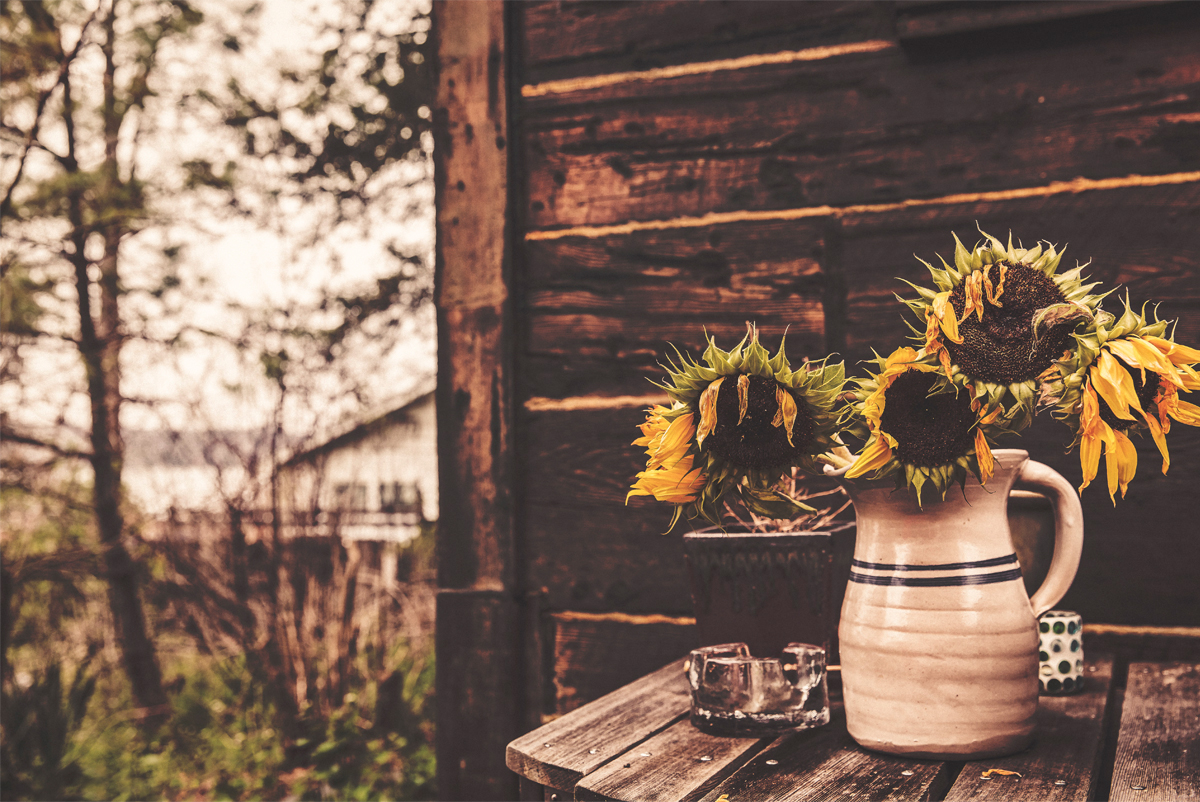 Snail丶Wo的个人主页（封面预览） - 主页封面设置 - 站酷设计师Snail丶Wo原创素材 - 站酷ZCOOL