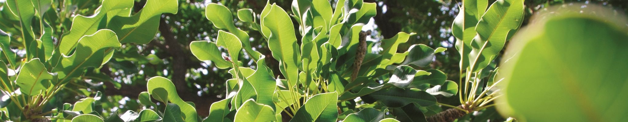 再看就把你吃掉咯的个人主页（封面预览） - 主页封面设置 - 站酷设计师再看就把你吃掉咯原创素材 - 站酷ZCOOL