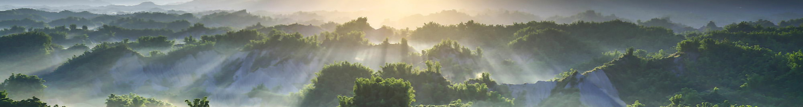 LeMei520的个人主页（封面预览） - 主页封面设置 - 站酷设计师LeMei520原创素材 - 站酷ZCOOL