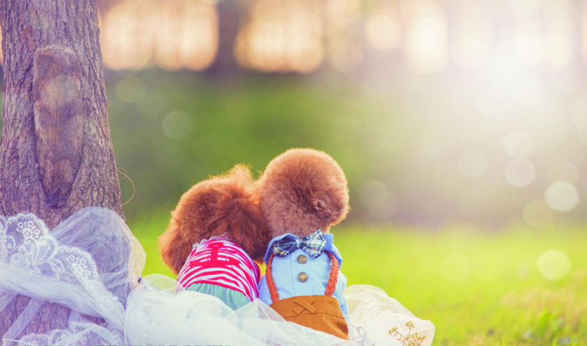 丶旭阳丶的个人主页（封面预览） - 主页封面设置 - 站酷设计师丶旭阳丶原创素材 - 站酷ZCOOL