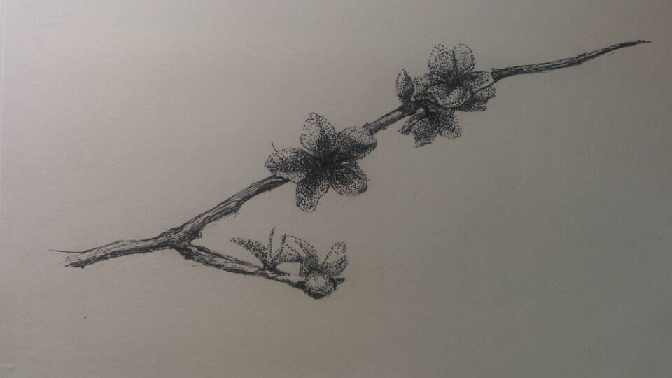 楠奕艺术大会堂的个人主页（封面预览） - 主页封面设置 - 站酷设计师楠奕艺术大会堂原创素材 - 站酷ZCOOL