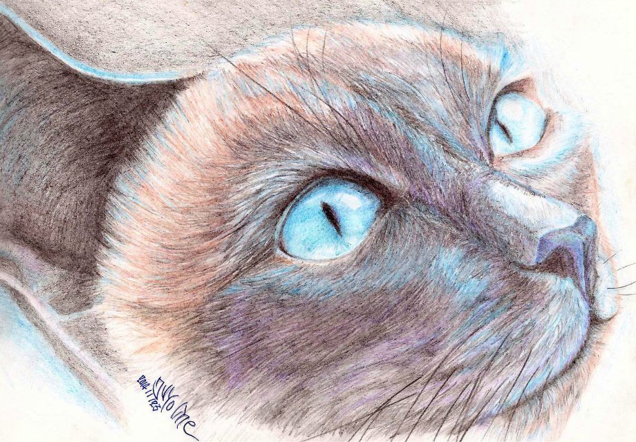 juyoline的个人主页（封面预览） - 主页封面设置 - 站酷设计师juyoline原创素材 - 站酷ZCOOL