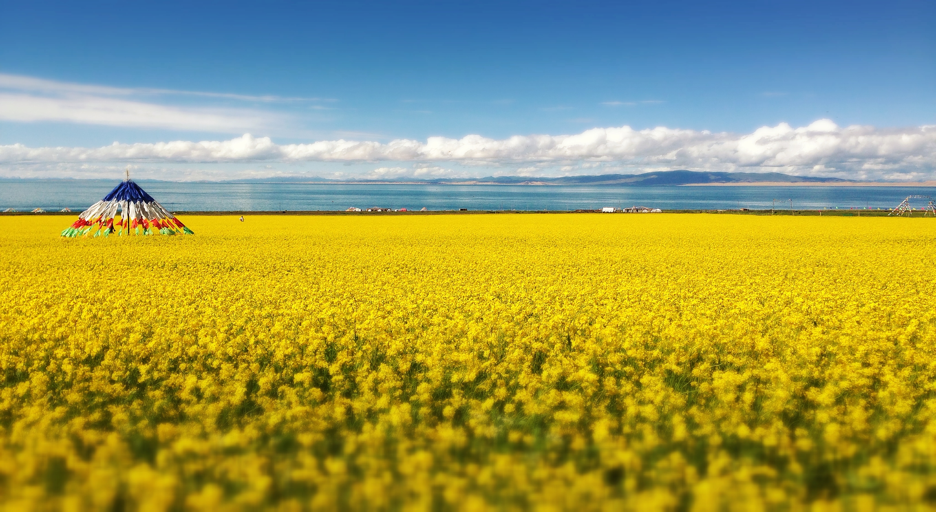 街头春哥的个人主页（封面预览） - 主页封面设置 - 站酷设计师街头春哥原创素材 - 站酷ZCOOL