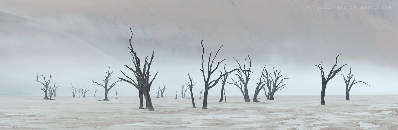 _贰圆的个人主页（封面预览） - 主页封面设置 - 站酷设计师_贰圆原创素材 - 站酷ZCOOL