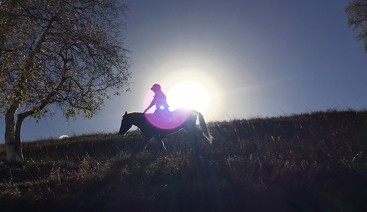 chenye9900的個人主頁（封面預覽） - 主頁封面設置 - 站酷設計師chenye9900原創(chuàng)素材 - 站酷ZCOOL