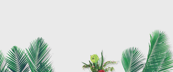 芋圆姑娘的个人主页（封面预览） - 主页封面设置 - 站酷设计师芋圆姑娘原创素材 - 站酷ZCOOL