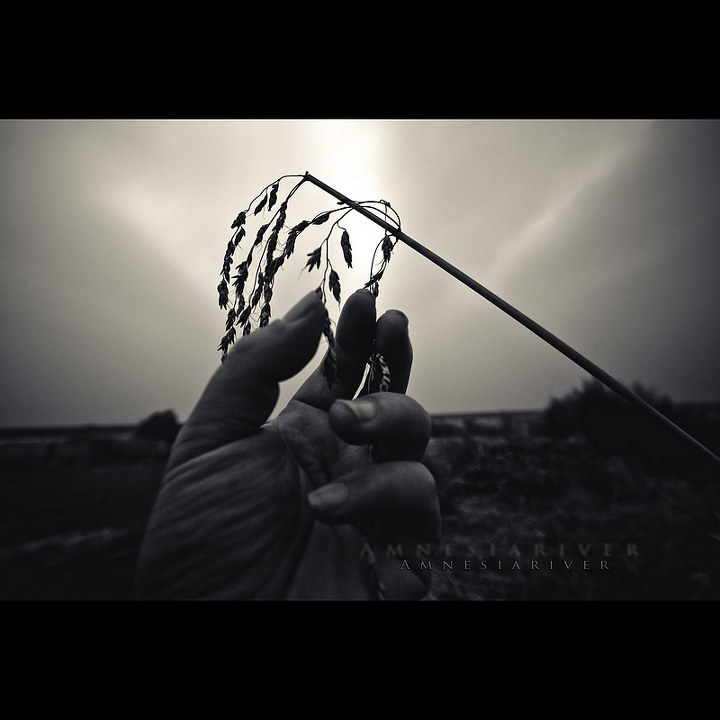 木子婷婷婷的個人主頁（封面預覽） - 主頁封面設置 - 站酷設計師木子婷婷婷原創(chuàng)素材 - 站酷ZCOOL