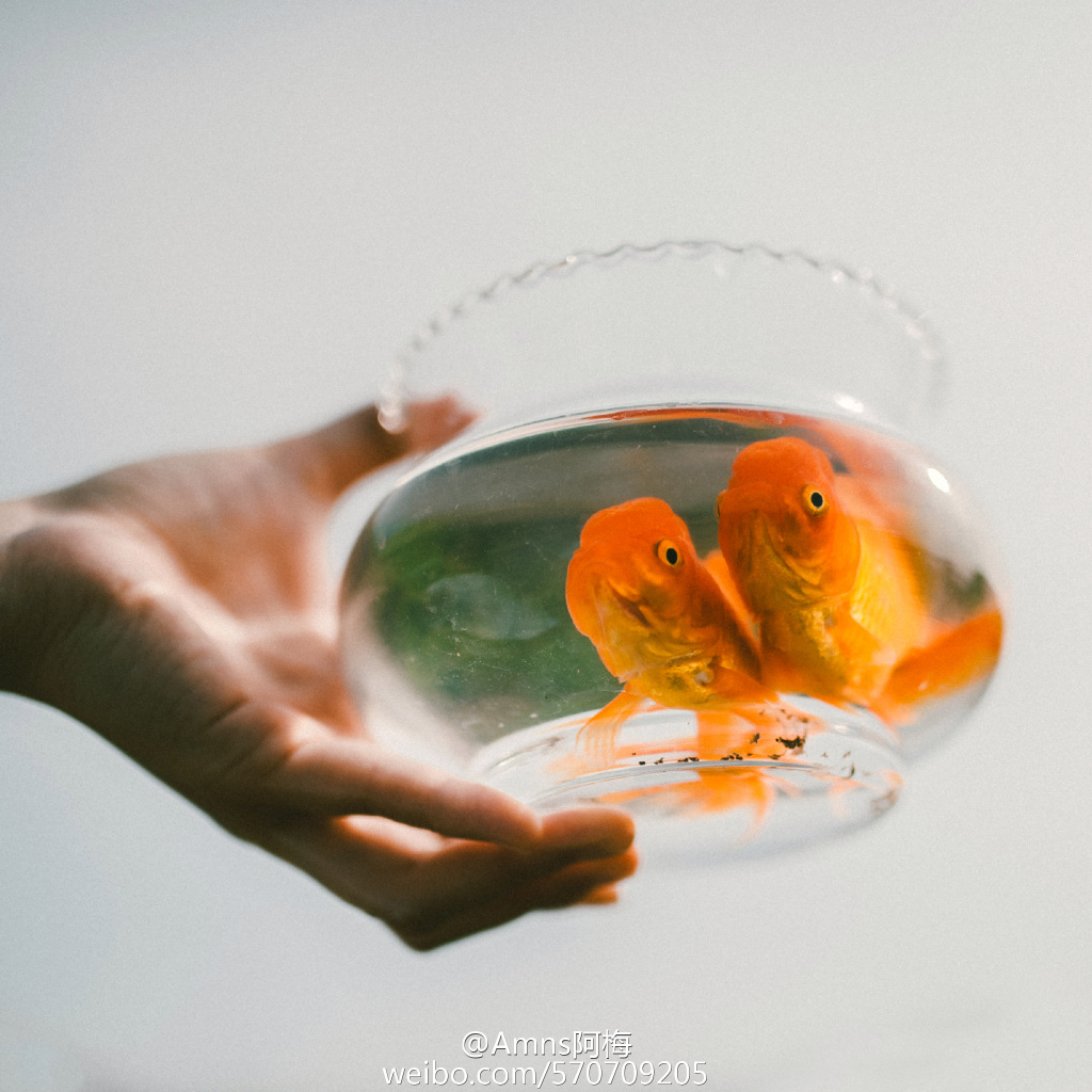 Amns阿梅的个人主页（封面预览） - 主页封面设置 - 站酷设计师Amns阿梅原创素材 - 站酷ZCOOL