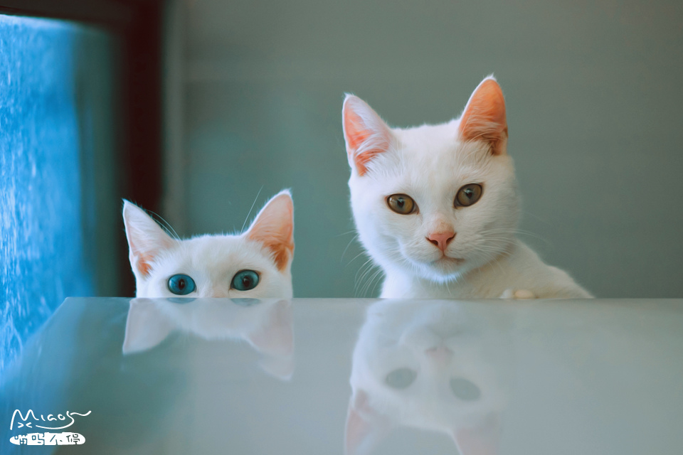 哈嘍丶搖擺的個(gè)人主頁（封面預(yù)覽） - 主頁封面設(shè)置 - 站酷設(shè)計(jì)師哈嘍丶搖擺原創(chuàng)素材 - 站酷ZCOOL