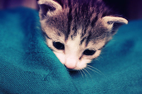 JJJJJSION的个人主页（封面预览） - 主页封面设置 - 站酷设计师JJJJJSION原创素材 - 站酷ZCOOL