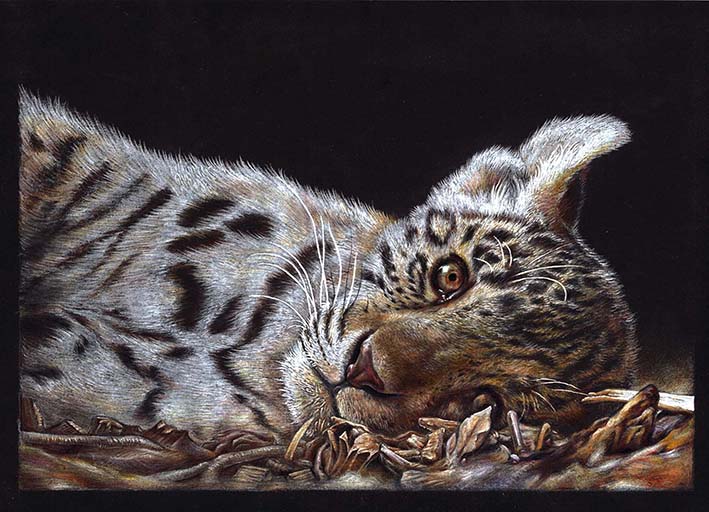 RedBee的个人主页（封面预览） - 主页封面设置 - 站酷设计师RedBee原创素材 - 站酷ZCOOL