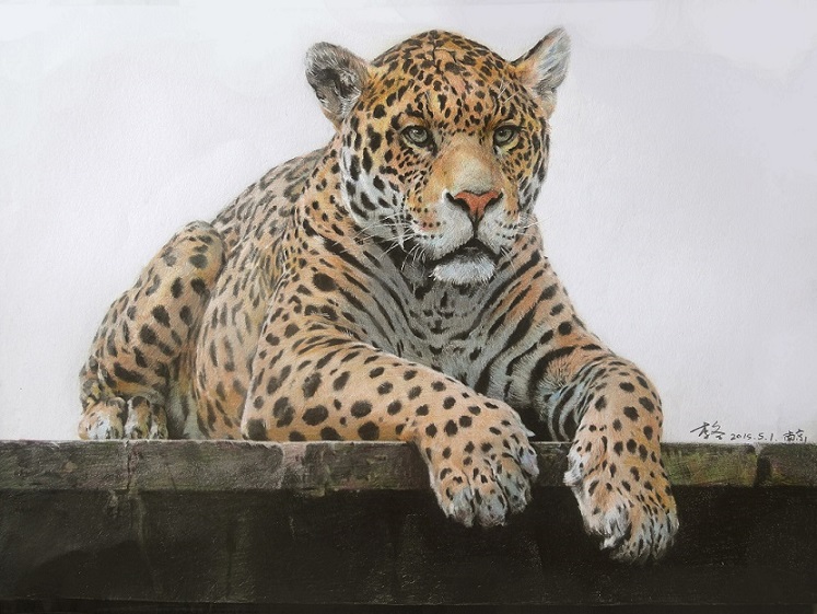 art_小冬的个人主页（封面预览） - 主页封面设置 - 站酷设计师art_小冬原创素材 - 站酷ZCOOL