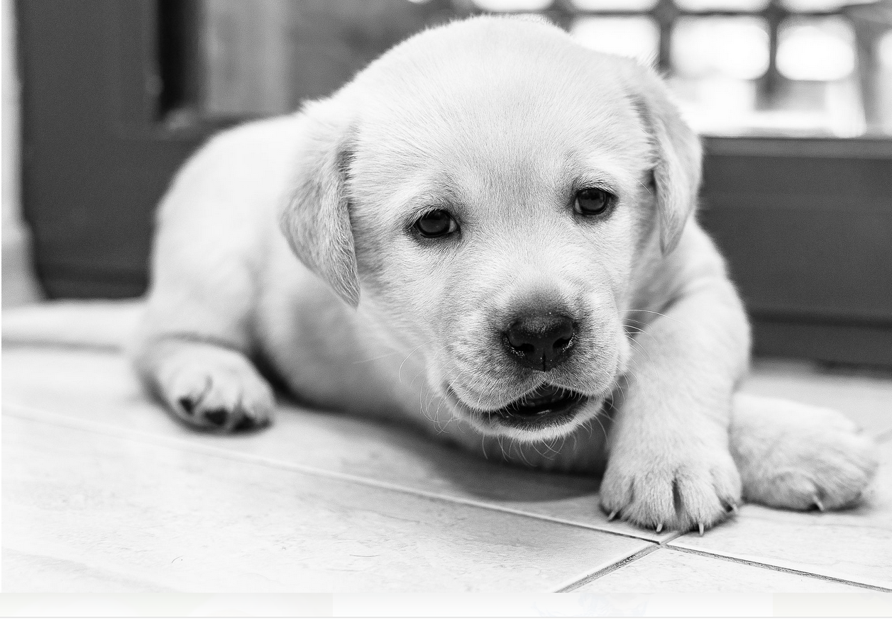 一直狂奔的蜗牛的个人主页（封面预览） - 主页封面设置 - 站酷设计师一直狂奔的蜗牛原创素材 - 站酷ZCOOL